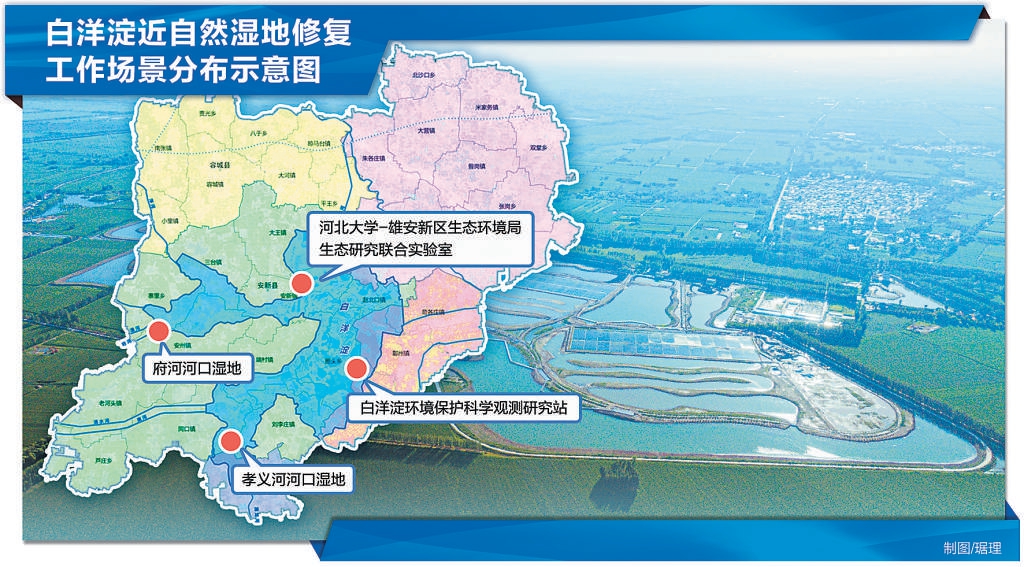 白洋淀搬迁最新规划图，温馨日常故事开启新篇章