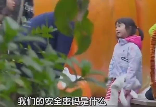 人贩子二毛,最新章节与日常趣事的温馨之旅