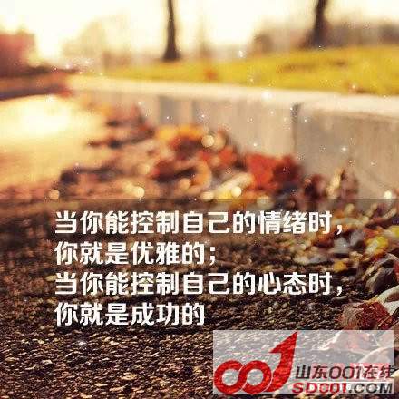 乳山民间互助展现乡村互助精神的最新动态