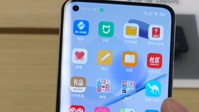 掌握高清视频观看技能,最新5X视频消息速递