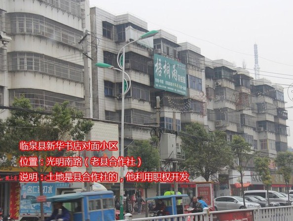 临泉王冲林最新动态更新