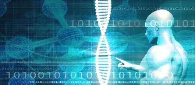 听觉干细胞最新进展,重塑声音世界的希望之光探索