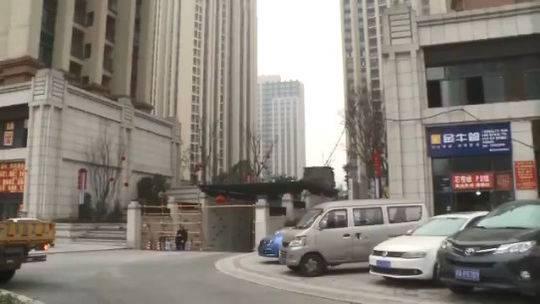 晋愉V时代最新消息,一段温馨有趣的日常故事揭秘