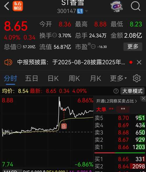 ST常林重组动态更新,变化中的机遇与挑战,成长号角已吹响