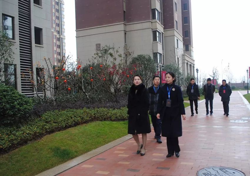 服务项目 第3页