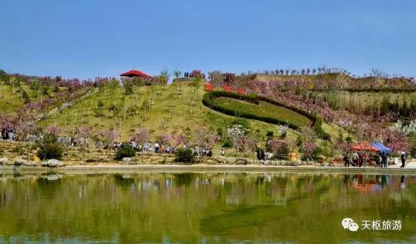 太原公园美地最新动态，重磅更新消息🌳🏡
