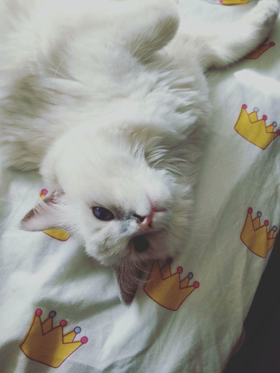 最新零食店名字精选集,创意与美味并存🍭🍮