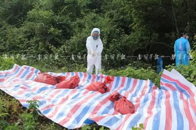 搬家必读 第488页