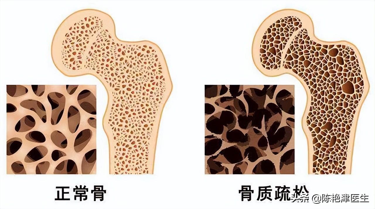 服务项目 第478页
