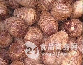 服务项目 第44页