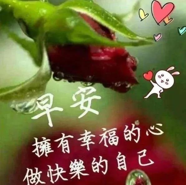 各类运输车辆 第25页